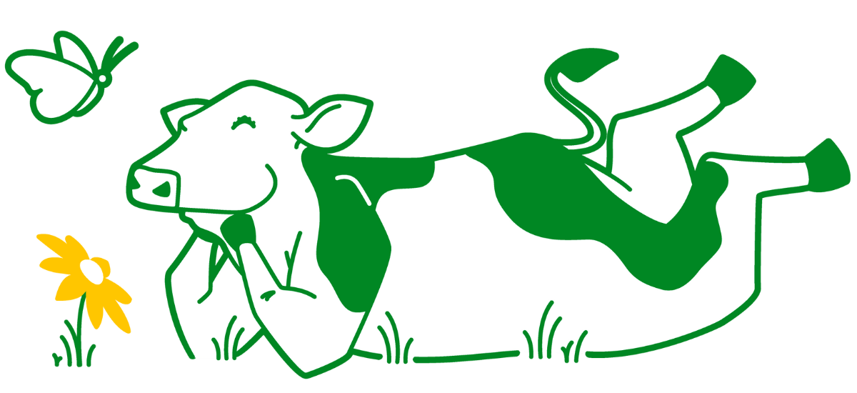 amoo szczęśliwa krowa produkty amoo